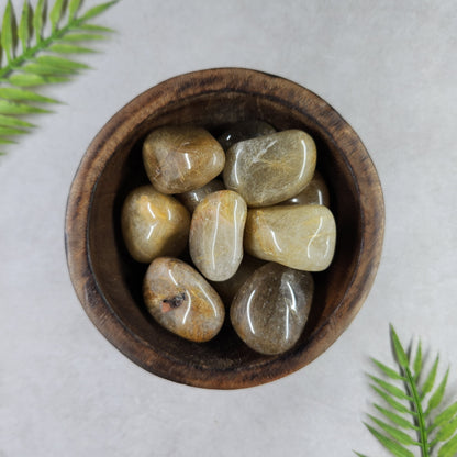 Golden Rutile in Quartz Tumble