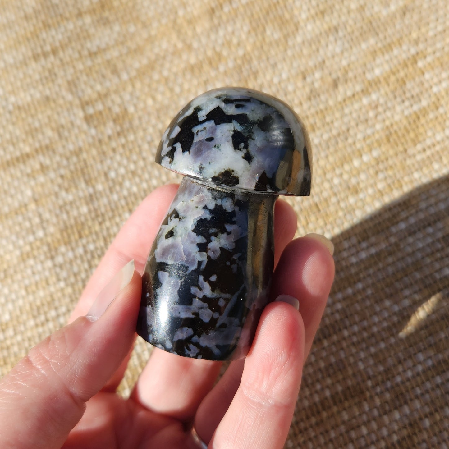 Indigo Gabbro Mushroom 133g