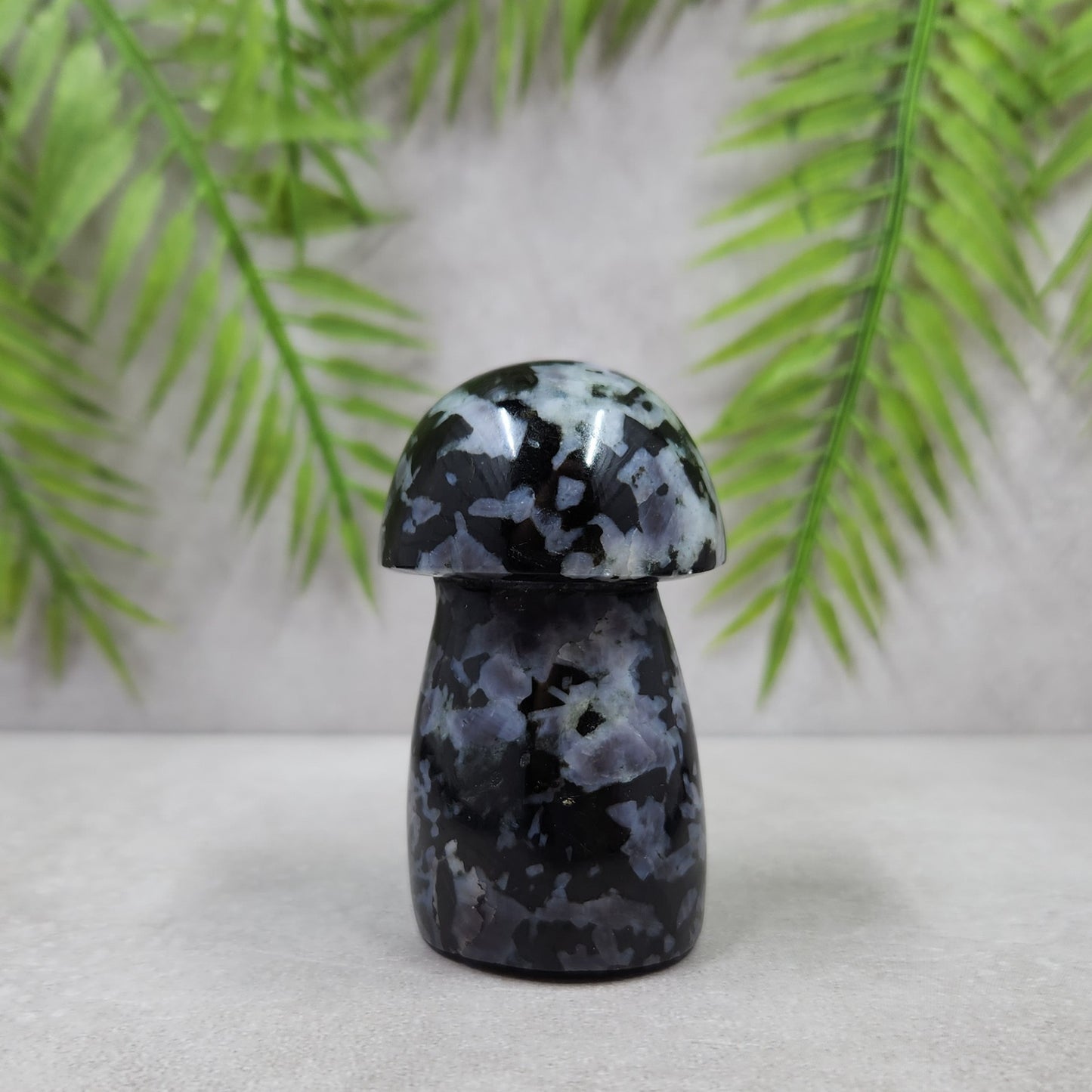 Indigo Gabbro Mushroom 133g