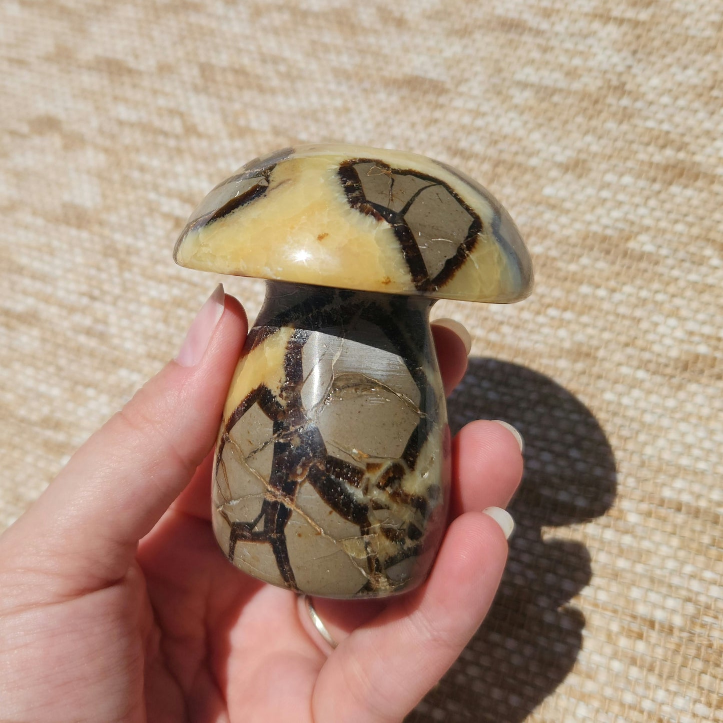 Septarian Mushroom 323g