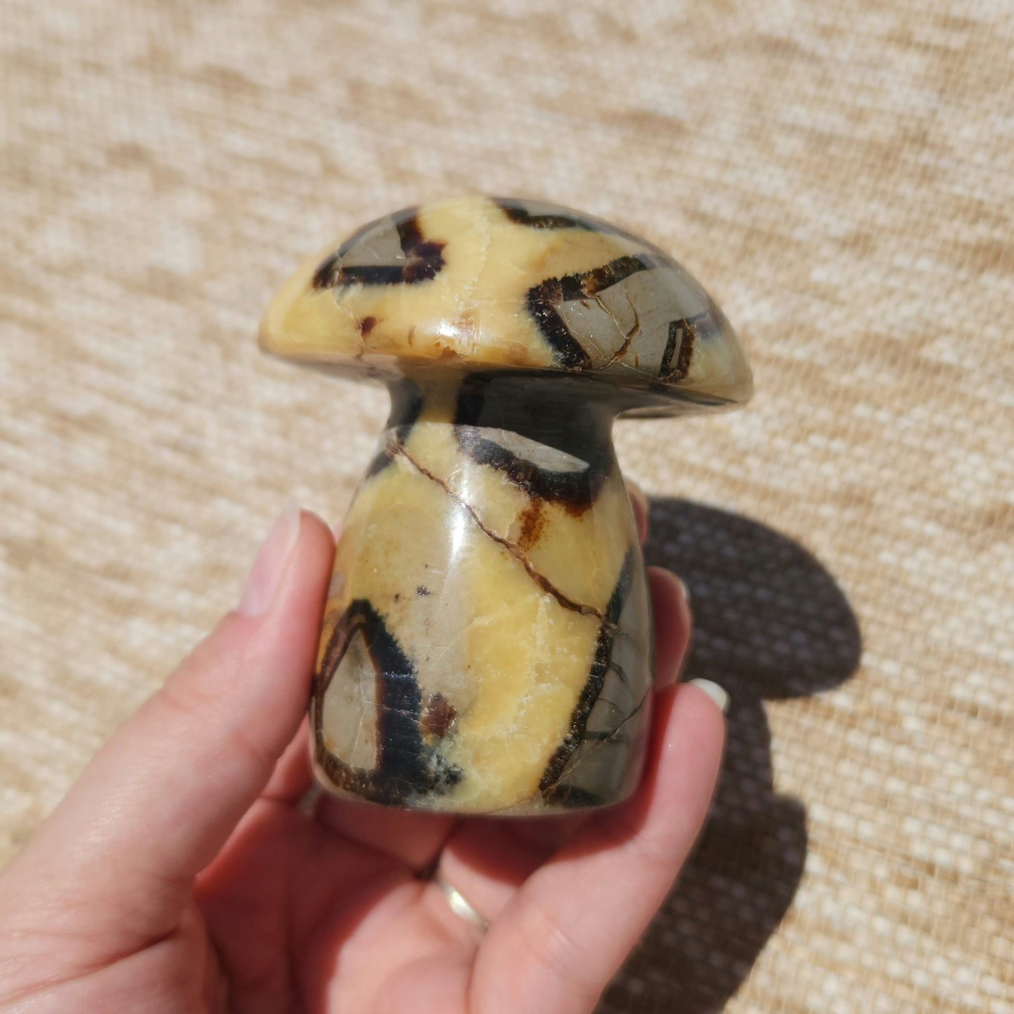 Septarian Mushroom 323g