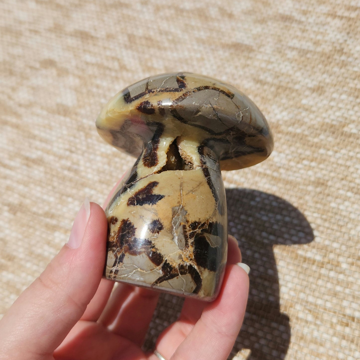 Septarian Mushroom 323g