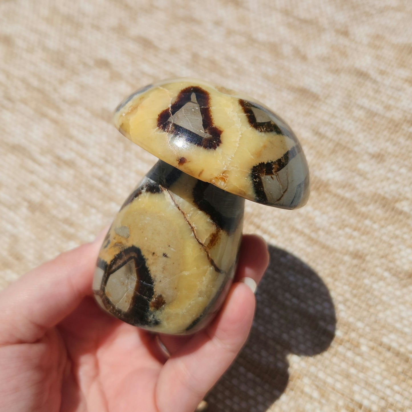 Septarian Mushroom 323g