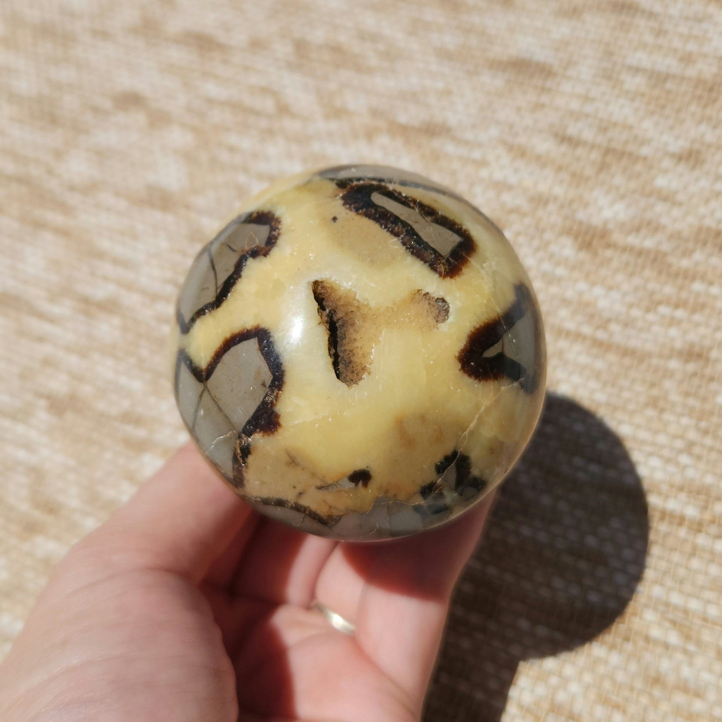 Septarian Mushroom 323g