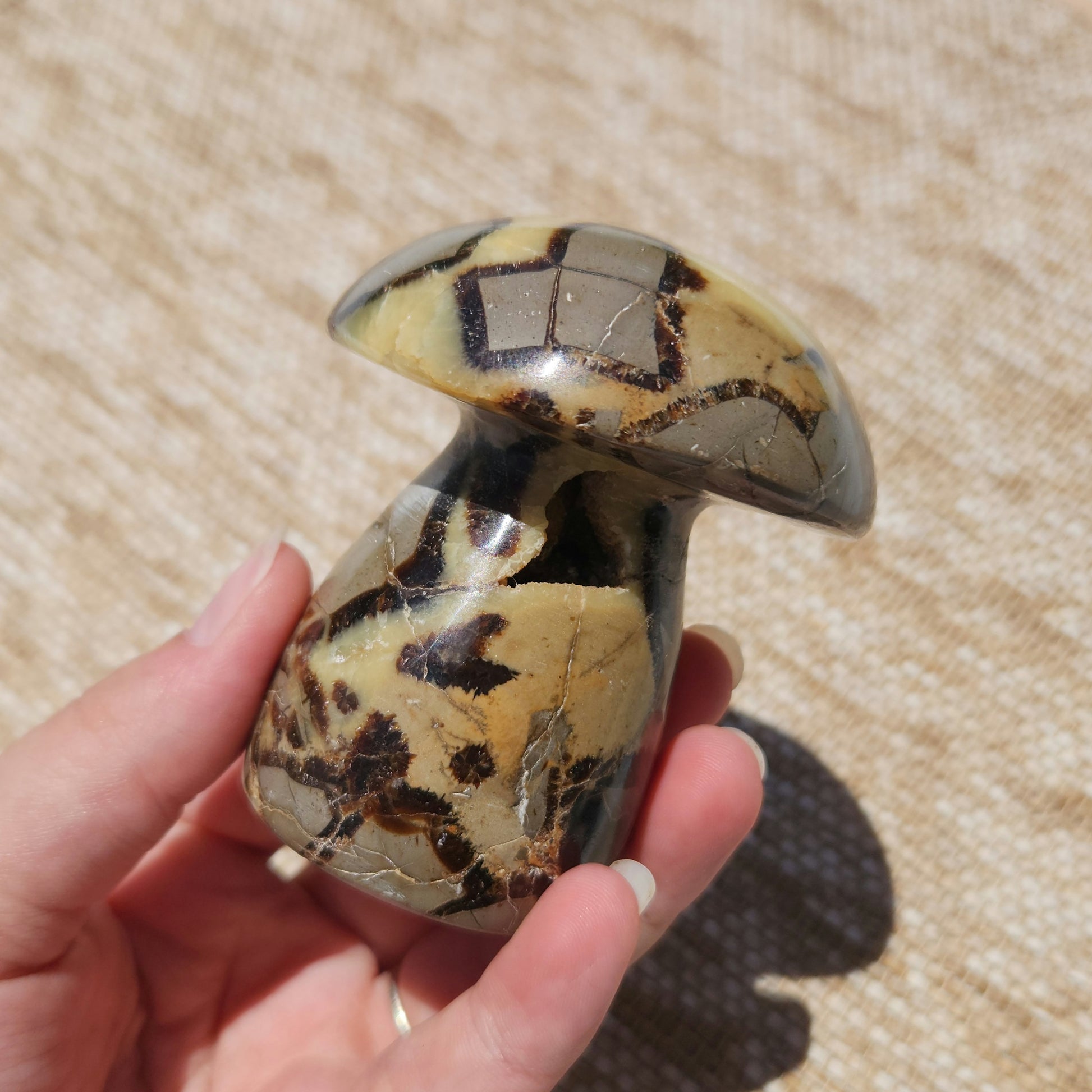 Septarian Mushroom 323g