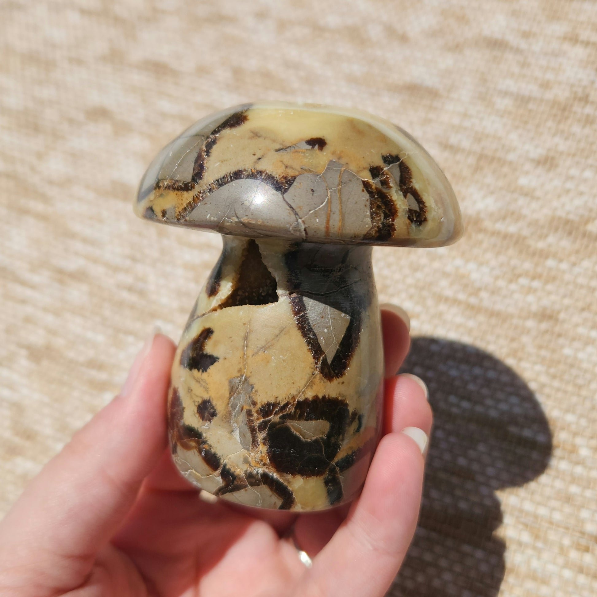 Septarian Mushroom 323g