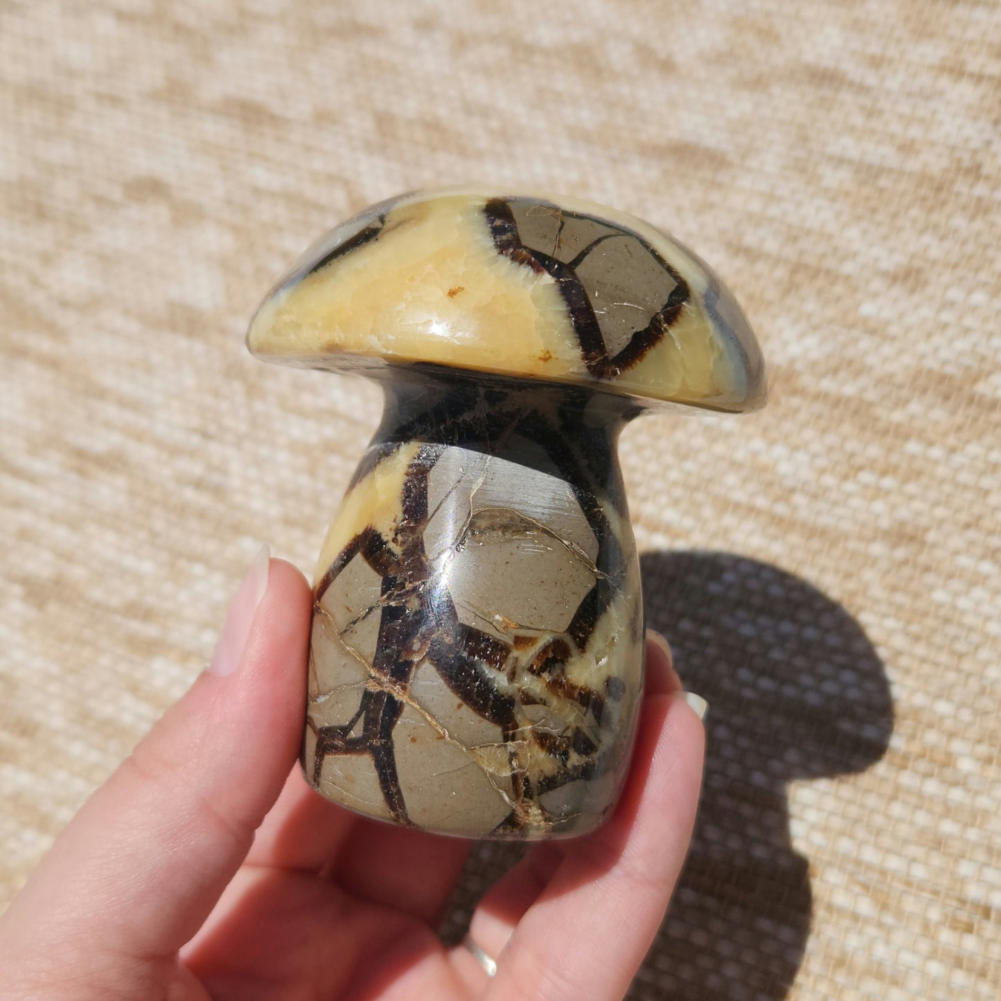 Septarian Mushroom 323g