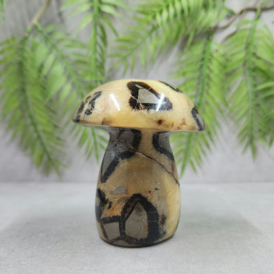 Septarian Mushroom 323g