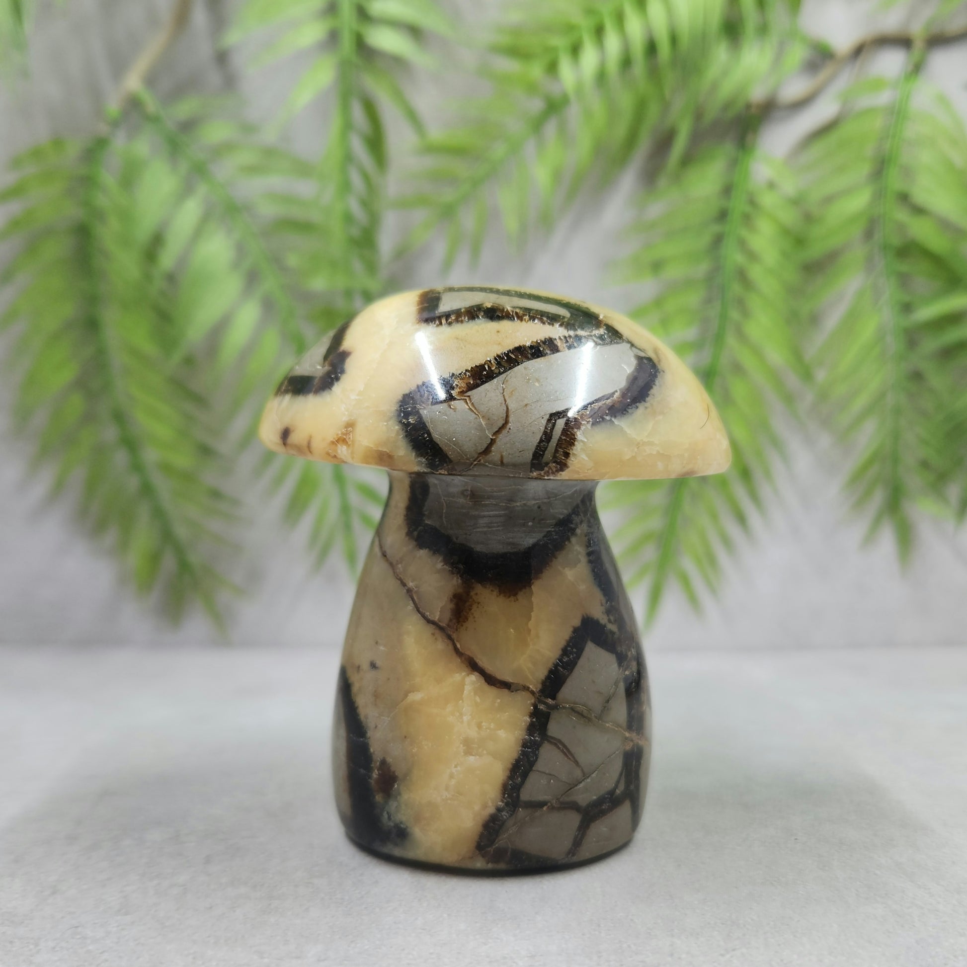 Septarian Mushroom 323g