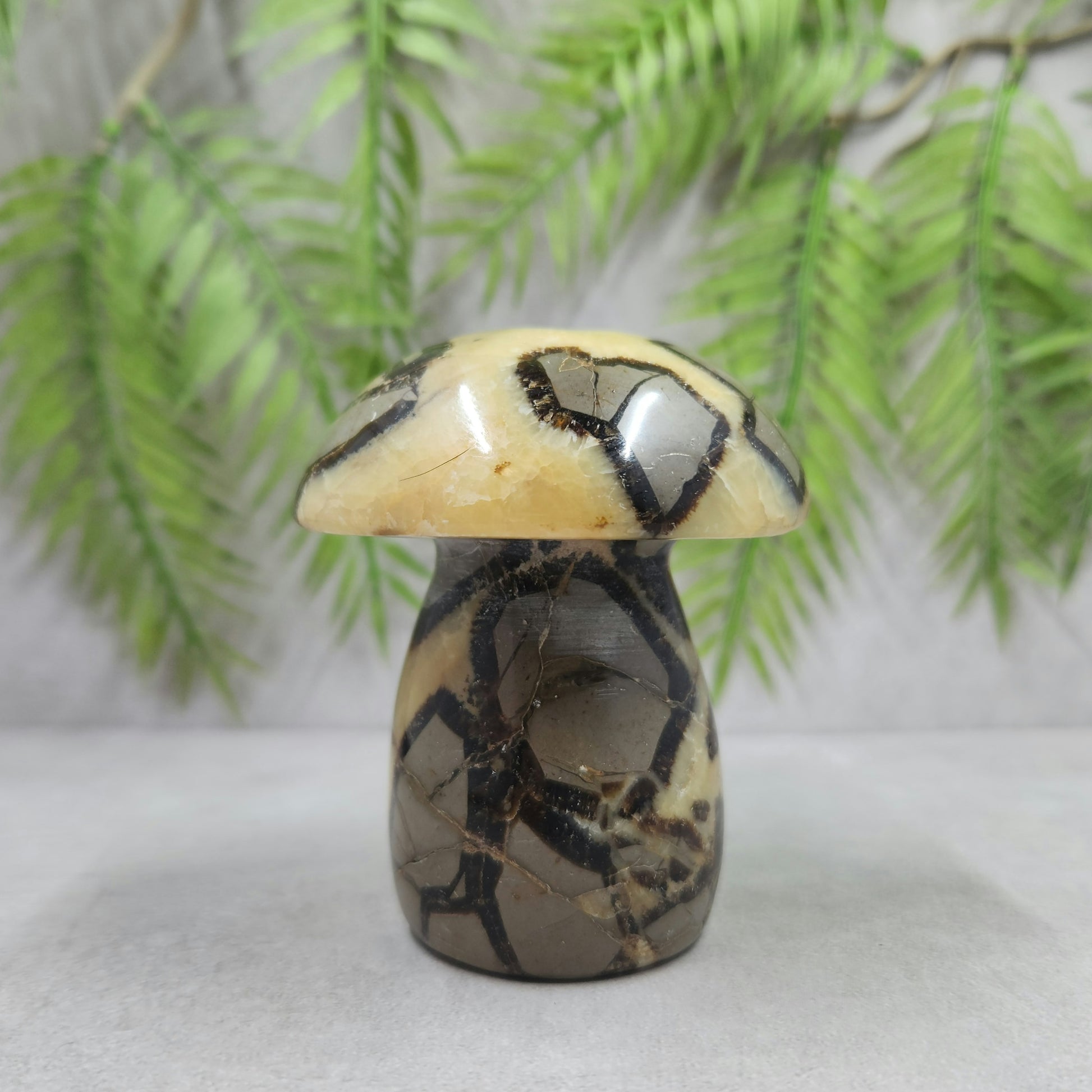 Septarian Mushroom 323g