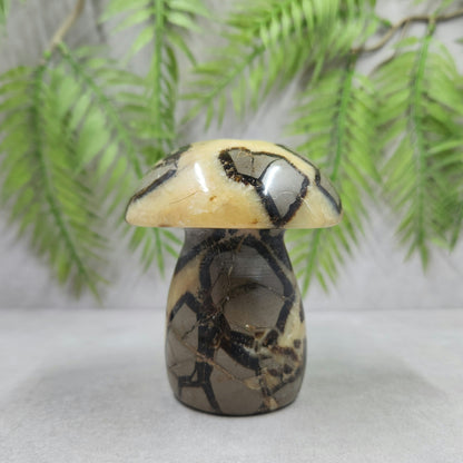 Septarian Mushroom 323g