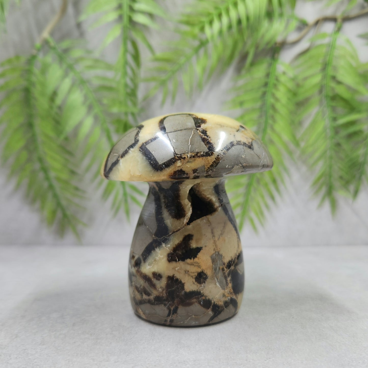 Septarian Mushroom 323g