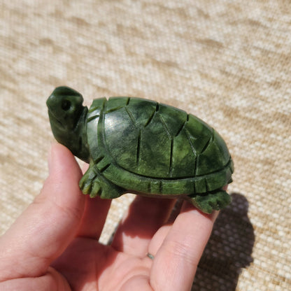 Serpentine Turtle