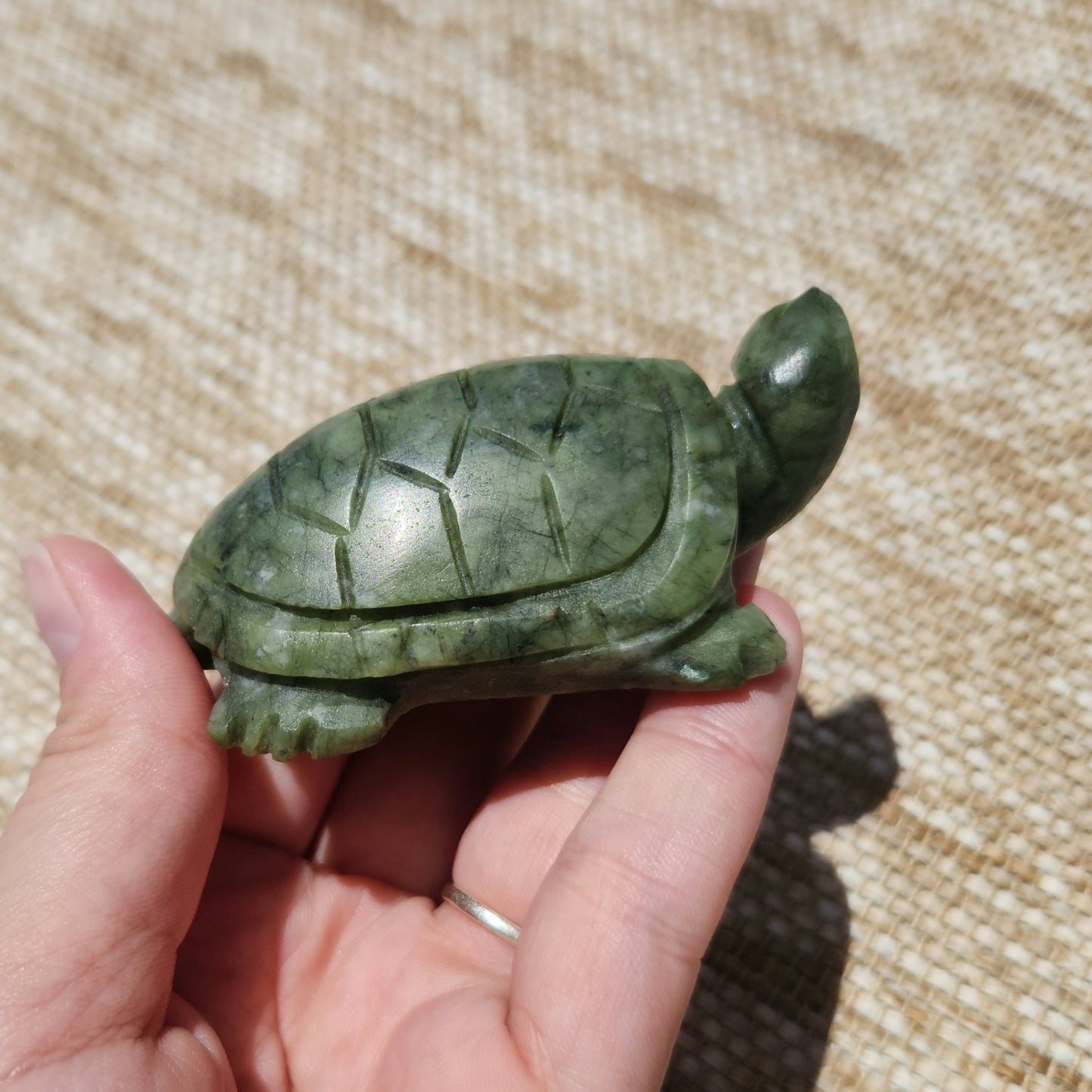 Serpentine Turtle