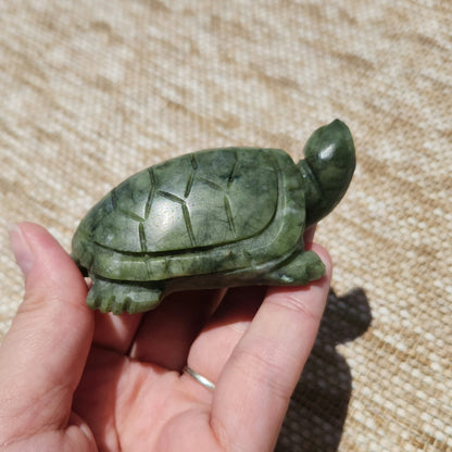 Serpentine Turtle