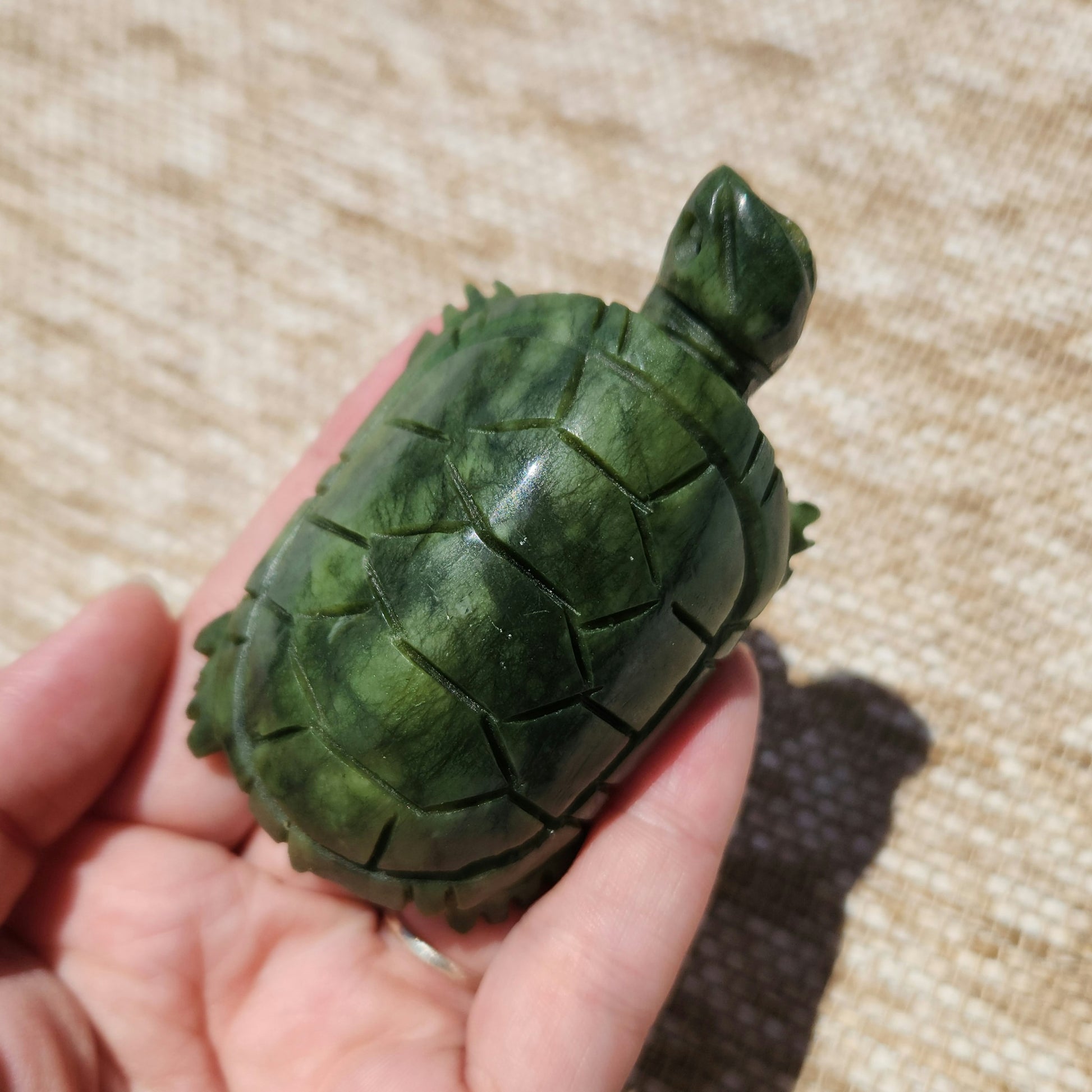 Serpentine Turtle