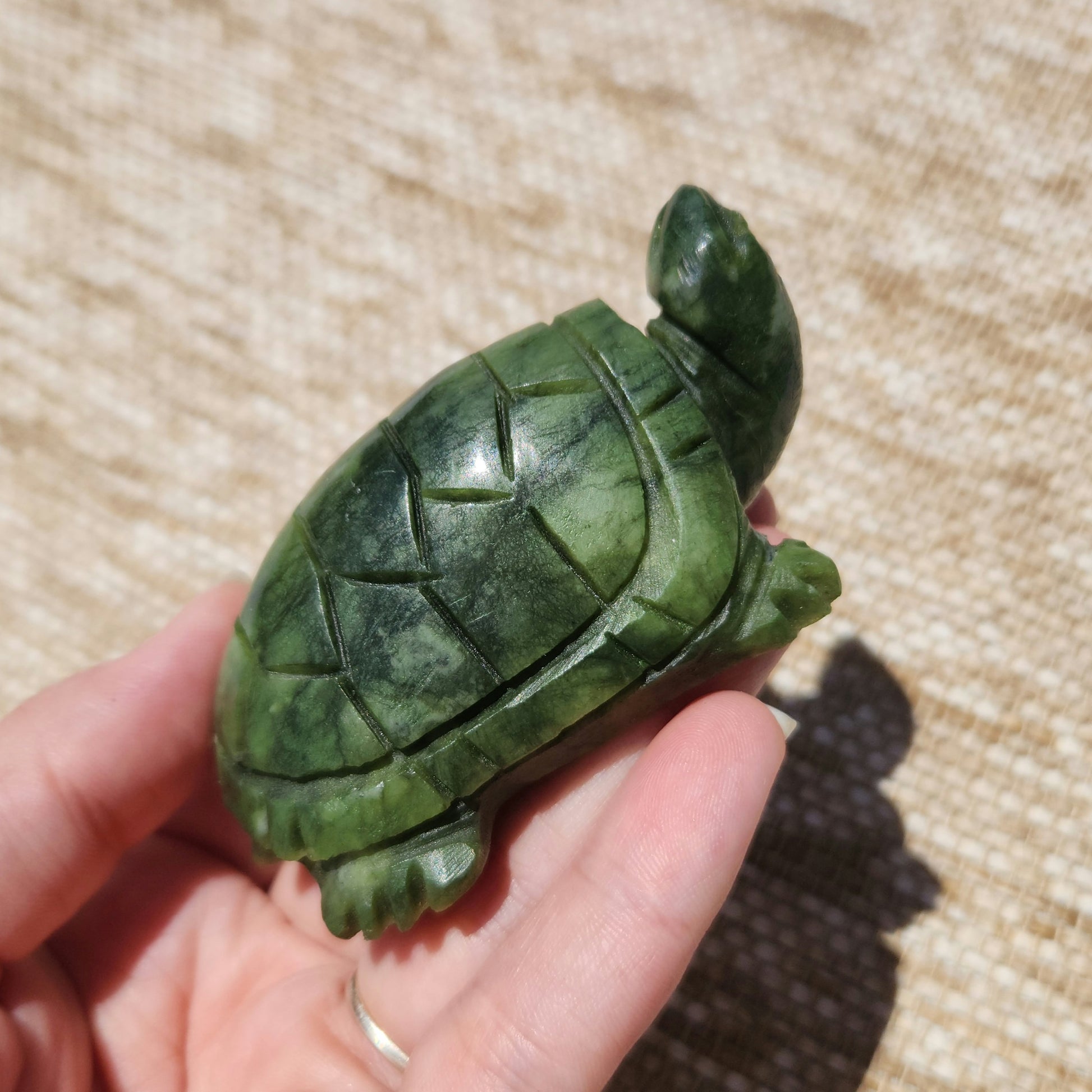 Serpentine Turtle