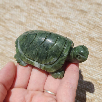 Serpentine Turtle