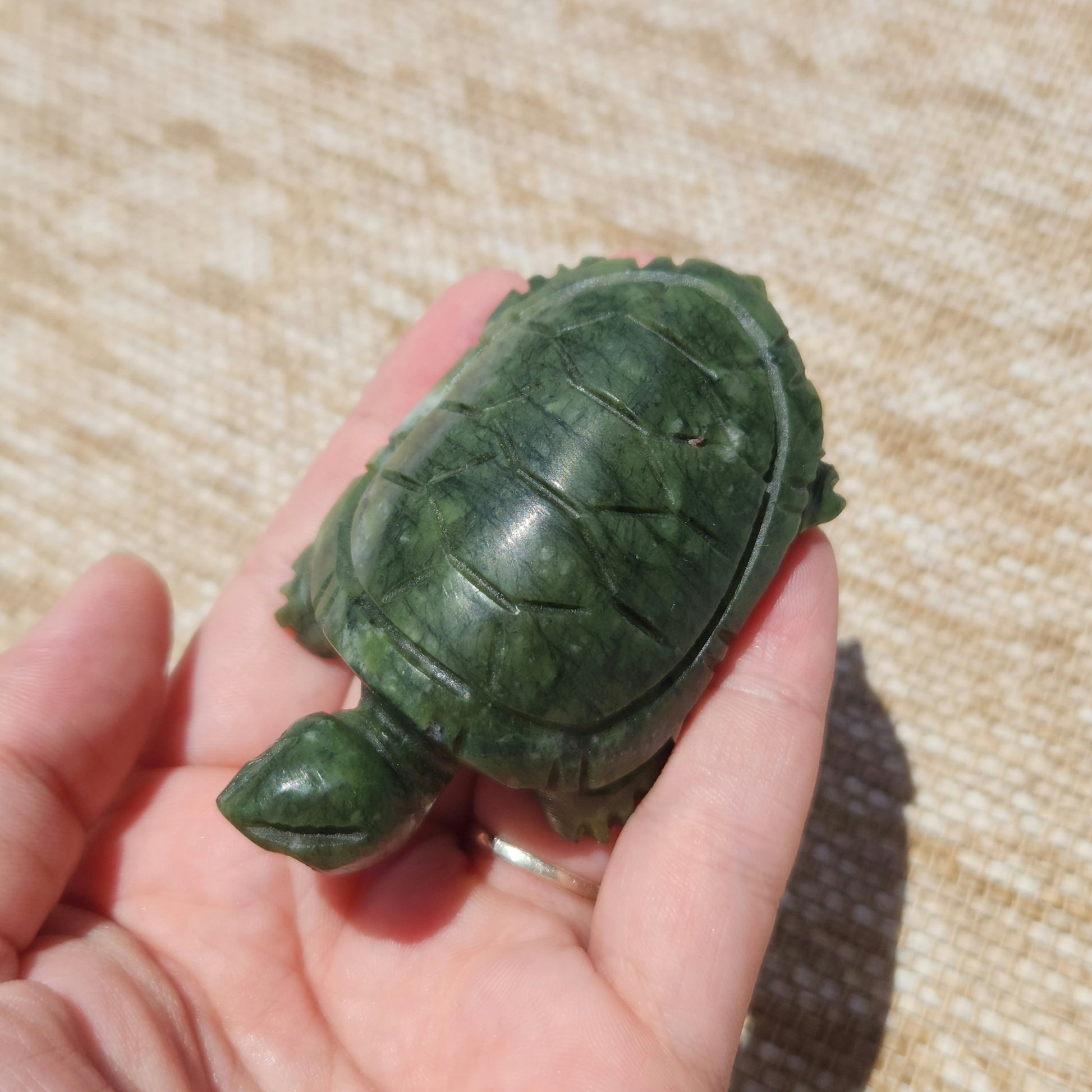 Serpentine Turtle