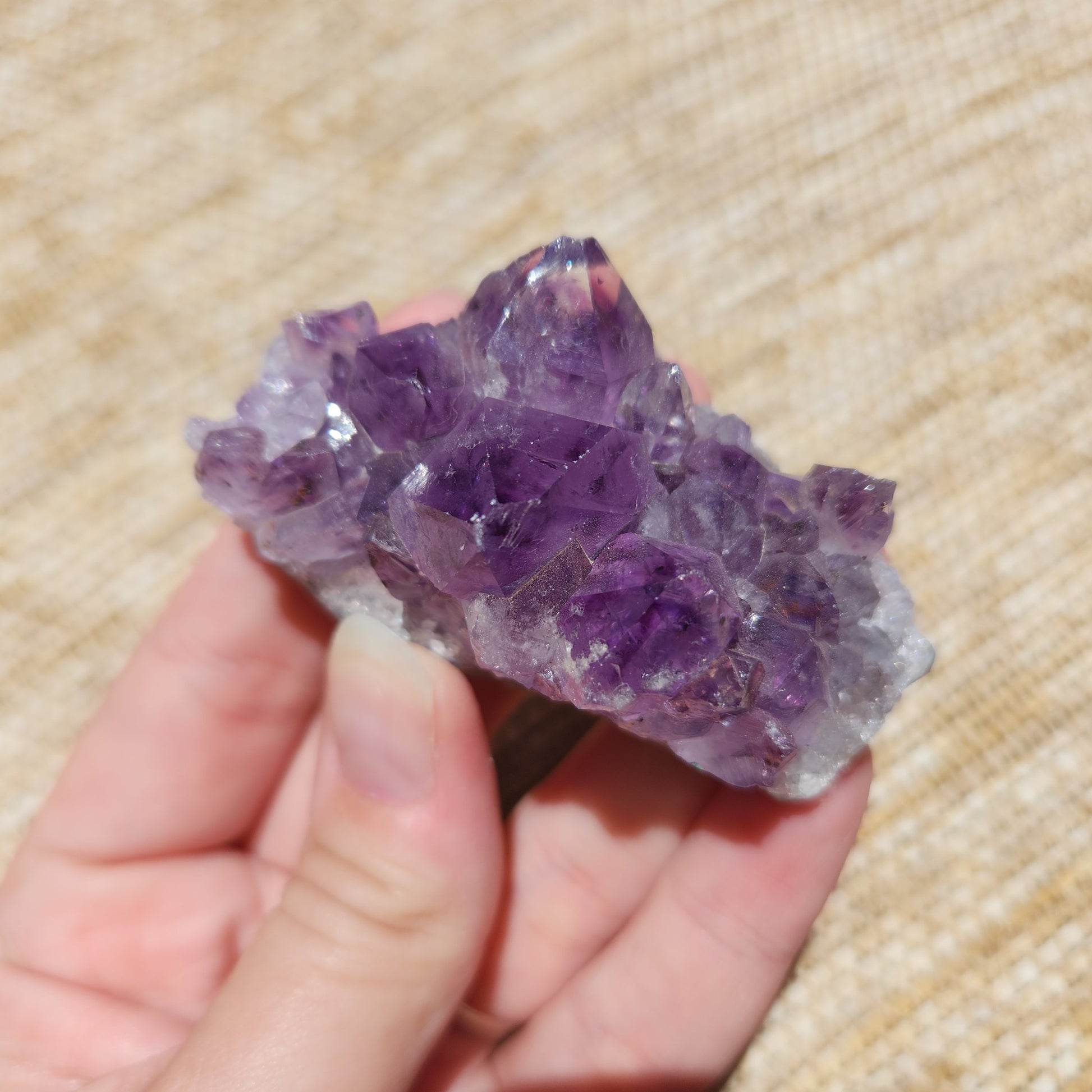 Amethyst Cluster